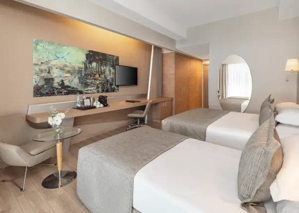 Deluxe Room 2 Single Beds