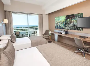 Deluxe Room General View 2