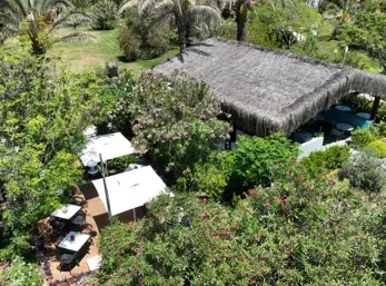 Concord General View 65