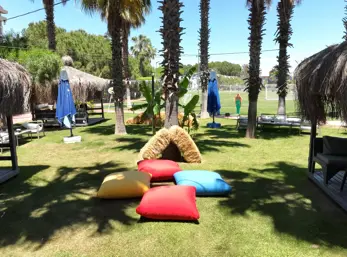 Concord General View 75