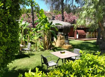 Concord General View 70