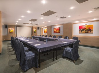 MİNİ VENÜS 1 (Büyük)