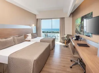 Deluxe Room General View 1