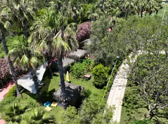 Concord General View 68