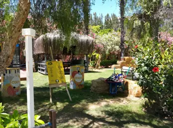 Concord General View 71