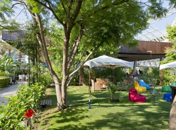 Shisha Bar (Büyük)