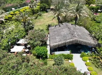 Concord General View 64